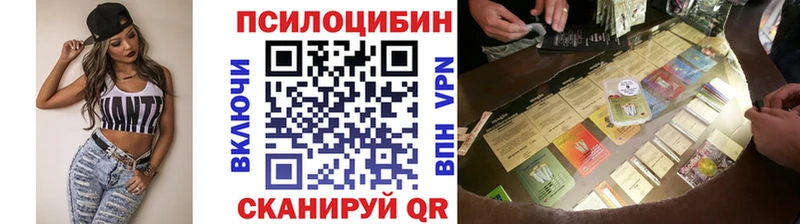 Псилоцибиновые грибы прущие грибы  Купить где  Починок 